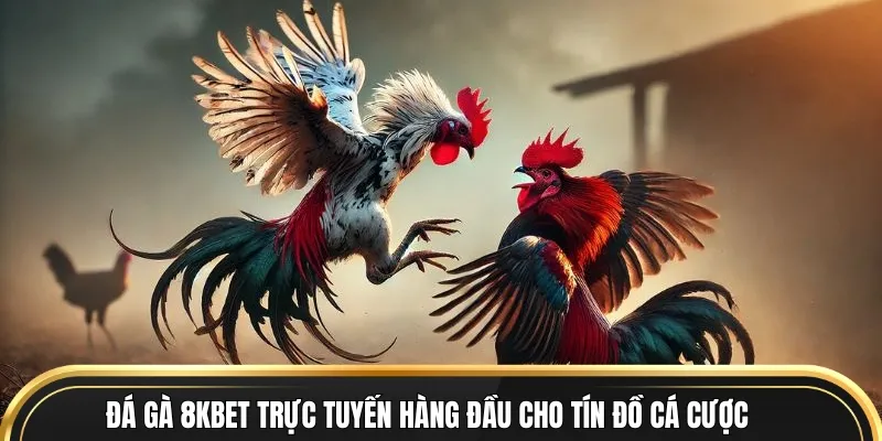 Đấu trường 8KBET trực tuyến hàng đầu cho tín đồ cá cược