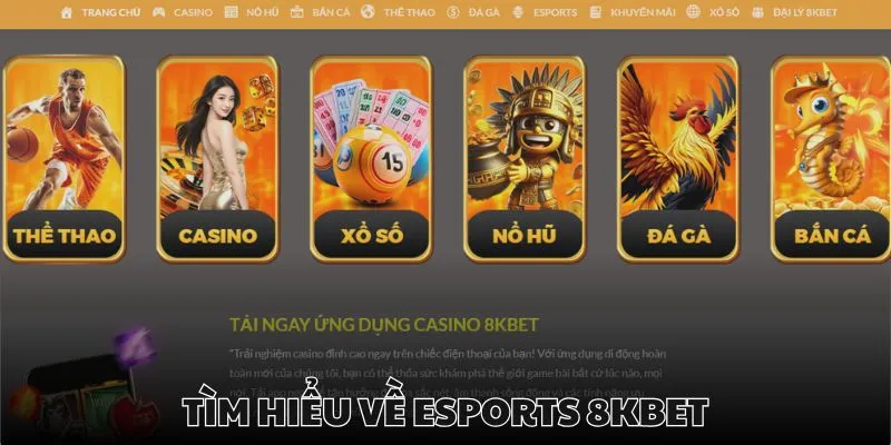 Esports 8kbet là sảnh chơi mới nổi tại nền tảng này